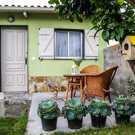 Ferienwohnung Casa De Arriba Rinlo Exterior foto